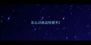 怎么训练边牧握手