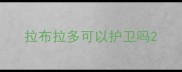 拉布拉多可以护卫吗