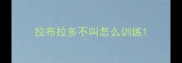 拉布拉多不叫怎么训练