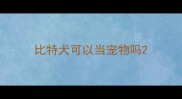 比特犬可以当宠物吗