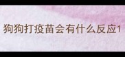 狗狗打疫苗会有什么反应