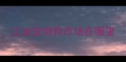 江油宠物狗市场在哪里
