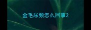 金毛尿频怎么回事