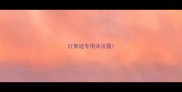 红泰迪专用沐浴露
