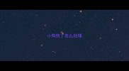 小狗伤了怎么处理