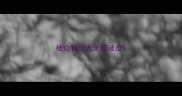 被边牧幼犬牙咬破皮