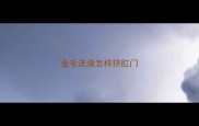 金毛洗澡怎样挤肛门
