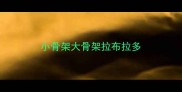 小骨架大骨架拉布拉多