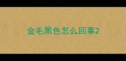 金毛黑色怎么回事