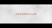女朋友宠物死怎么安慰