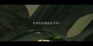 拉布拉多狗会长大吗