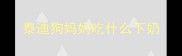 泰迪狗妈妈吃什么下奶
