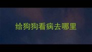 给狗狗看病去哪里
