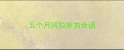五个月阿拉斯加食谱