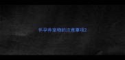 怀孕养宠物的注意事项