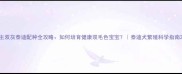 主双灰泰迪配种全攻略如何培育健康双毛色宝宝泰迪犬繁殖科学指南