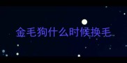 金毛狗什么时候换毛