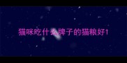 猫咪吃什么牌子的猫粮好