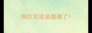 狗打完疫苗腿瘸了