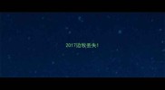 2017边牧丢失