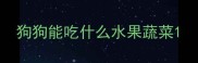 狗狗能吃什么水果蔬菜
