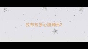 拉布拉多心肌畸形