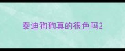 泰迪狗狗真的很色吗