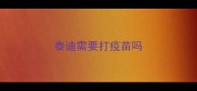 泰迪需要打疫苗吗