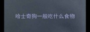 哈士奇狗一般吃什么食物