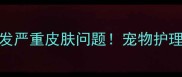 猫咪两个月不洗澡竟引发严重皮肤问题宠物护理专家教你科学清洁指南