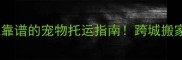 重庆宠物运输专业靠谱的宠物托运指南跨城搬家异国寄养全攻略