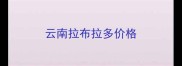 云南拉布拉多价格