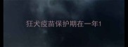 狂犬疫苗保护期在一年