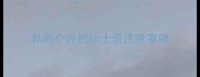 养两个月的哈士奇注意事项