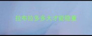 拉布拉多多大才能稳重