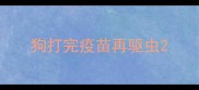 狗打完疫苗再驱虫