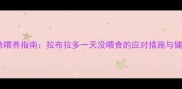 宠物紧急喂养指南拉布拉多一天没喂食的应对措施与健康管理