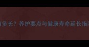 拉布拉多犬寿命有多长养护要点与健康寿命延长指南附最新数据