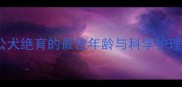 泰迪公犬绝育的最佳年龄与科学护理指南