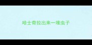 哈士奇拉出来一堆虫子