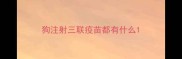 狗注射三联疫苗都有什么