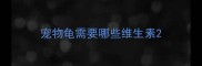 宠物龟需要哪些维生素
