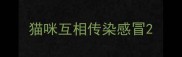 猫咪互相传染感冒