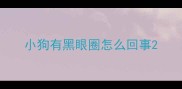 小狗有黑眼圈怎么回事