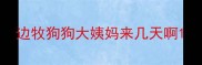 边牧狗狗大姨妈来几天啊