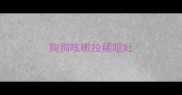 狗狗咳嗽拉稀呕吐