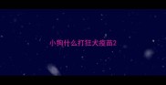 小狗什么打狂犬疫苗