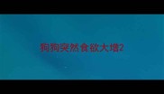 狗狗突然食欲大增