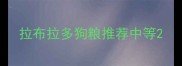 拉布拉多狗粮推荐中等