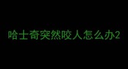 哈士奇突然咬人怎么办
